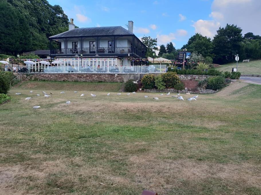 Beach Retreat Village Centre Location Shaldon Εξωτερικό φωτογραφία