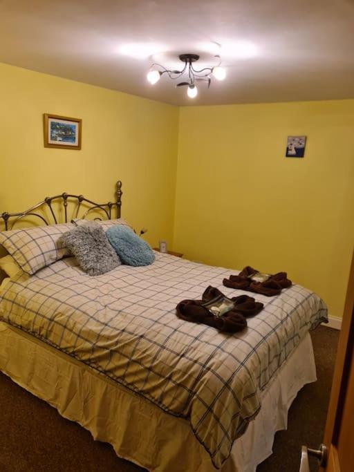Beach Retreat Village Centre Location Shaldon Εξωτερικό φωτογραφία